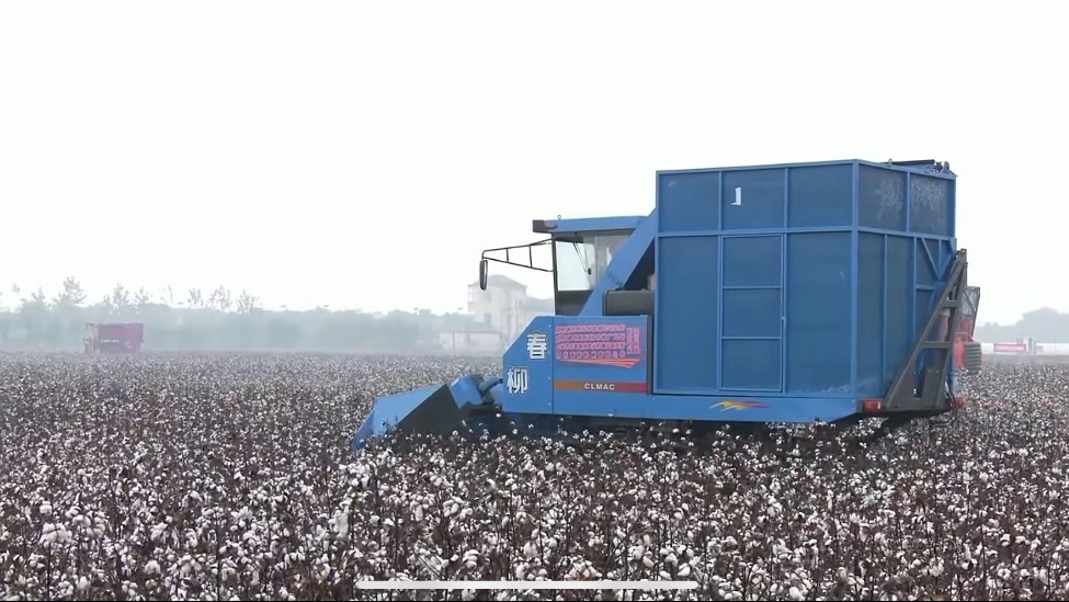 长江流域棉油生产机械化技术装备交流研讨会在江西九江举办