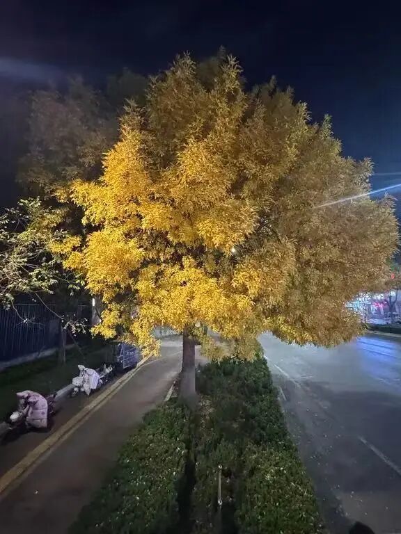 胡同学在站台上拍摄的照片（受访者提供）