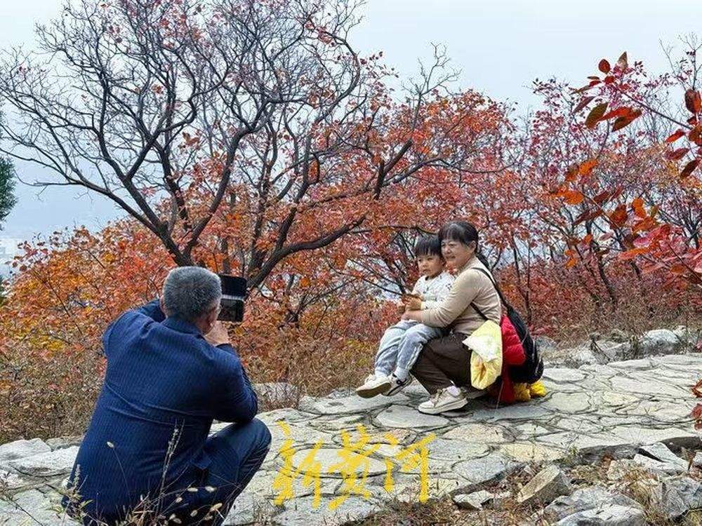 半山苍翠半山红！济南“鸳鸯火锅”惊艳上线