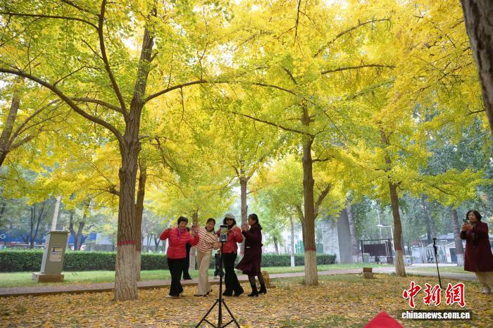 11月5日，河北石家庄街边一公园，民众赏秋景、拍美照，尽享秋日惬意。中新社记者 翟羽佳 摄