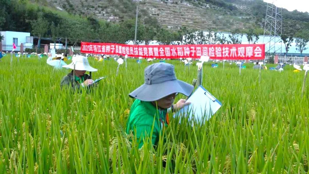 农业技能竞赛现场。