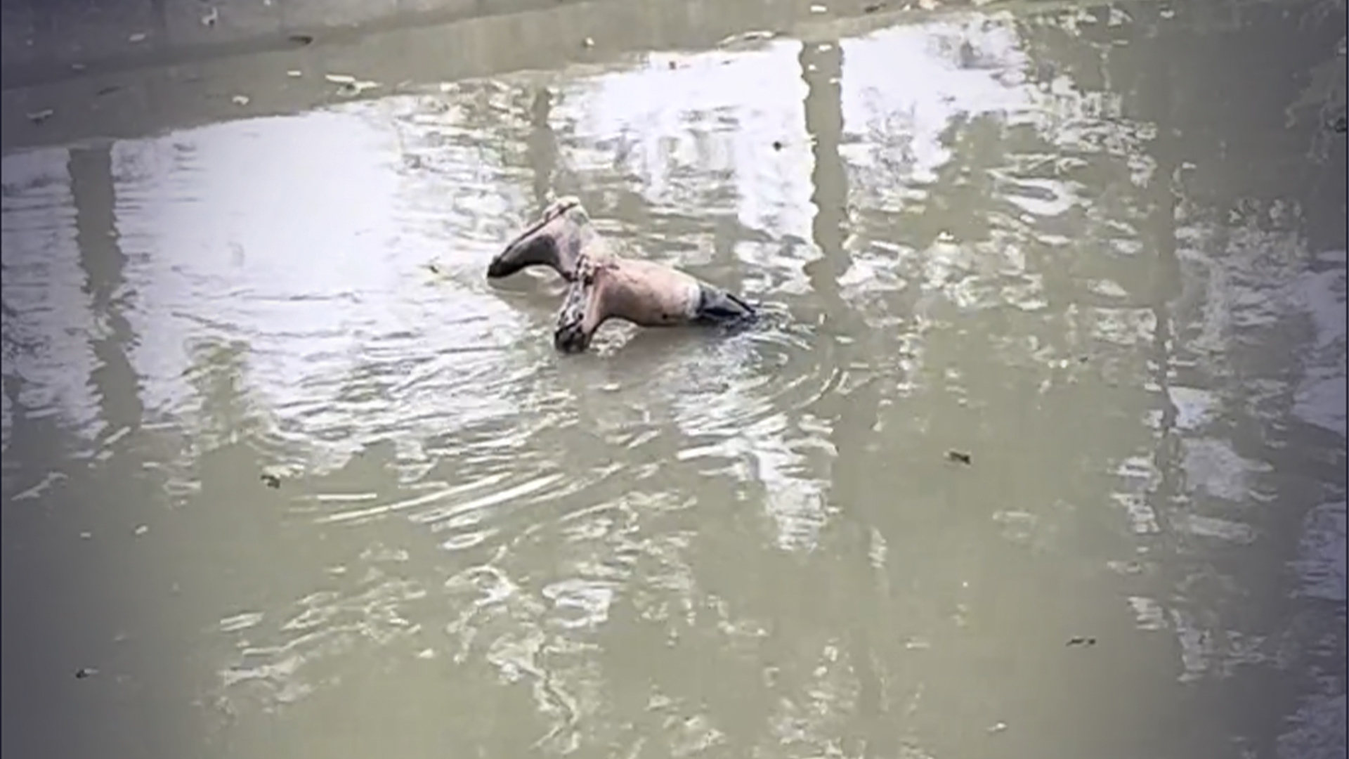 男子骑行路上发现河边有“浮尸”，报警5分钟派出所消防救护全到了，打捞出来发现是一双雨靴