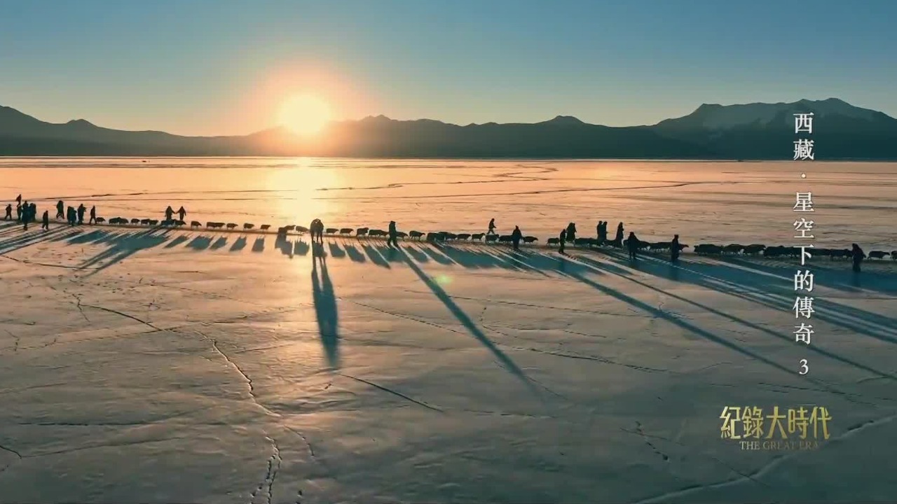 一群羊的迁徙：牧民跟着藏历算冰期，让羊群在寒冬里有口草吃