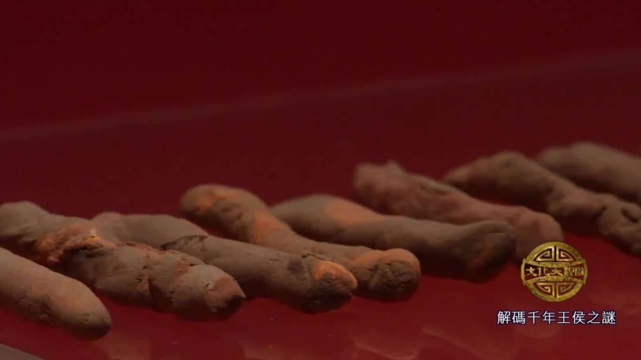 这一座西汉大墓颠复人们认知，曾出土中国目前最早的中药炮制品