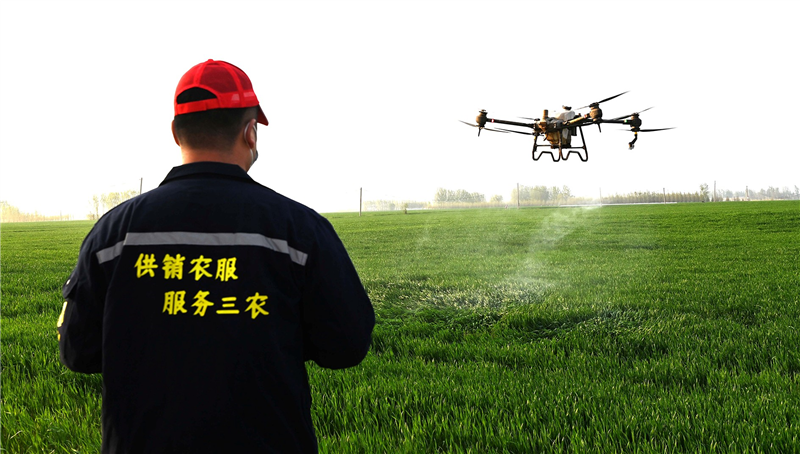 沁阳市供销社三农服务队利用植保无人机为麦田喷洒杀虫剂和营养剂。 资料图片