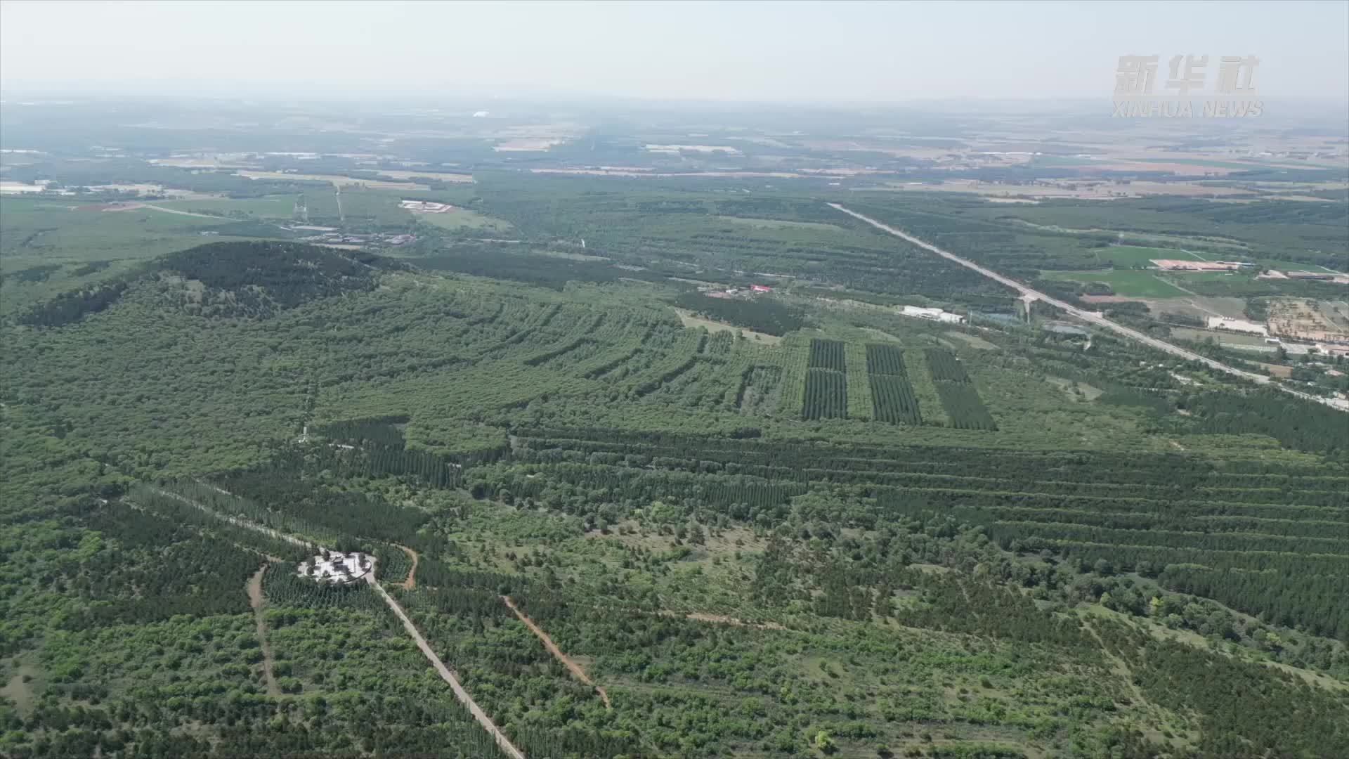 右玉书写新时代绿化新传奇