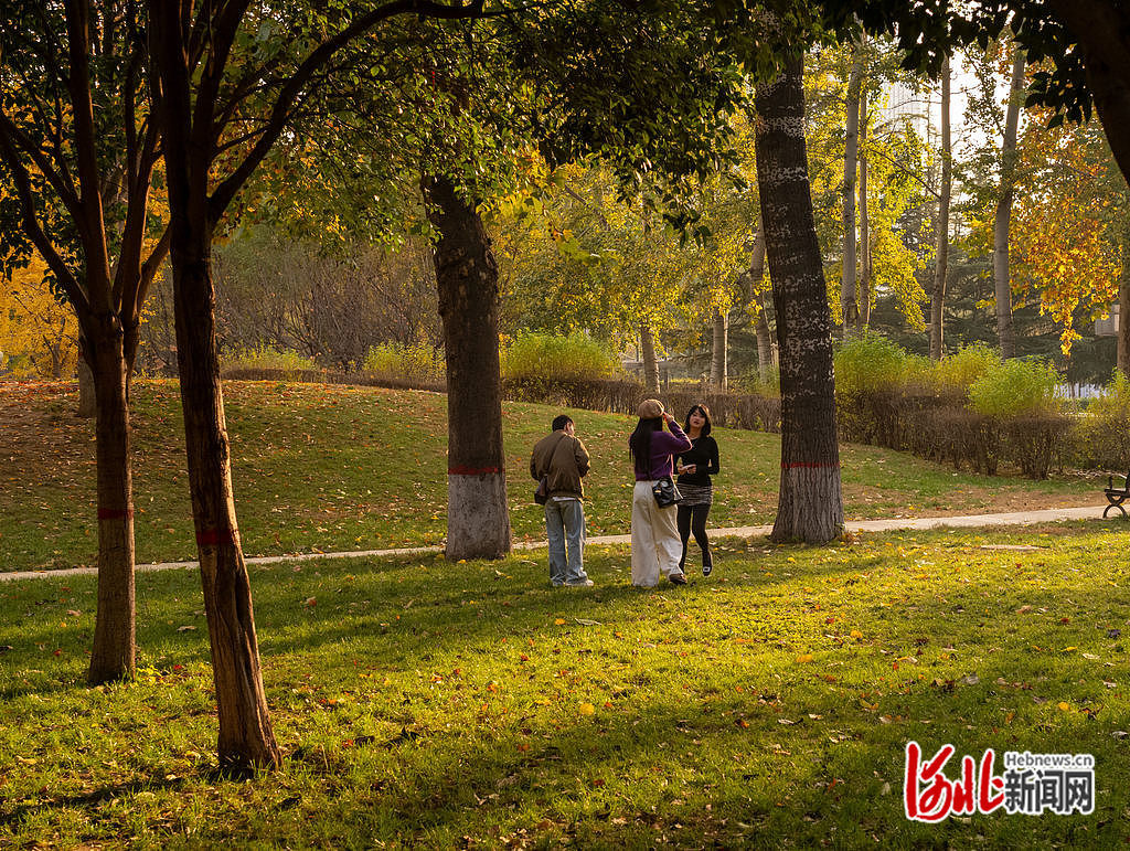 11月11日，石家庄长安公园，市民在观赏美景拍照留念。