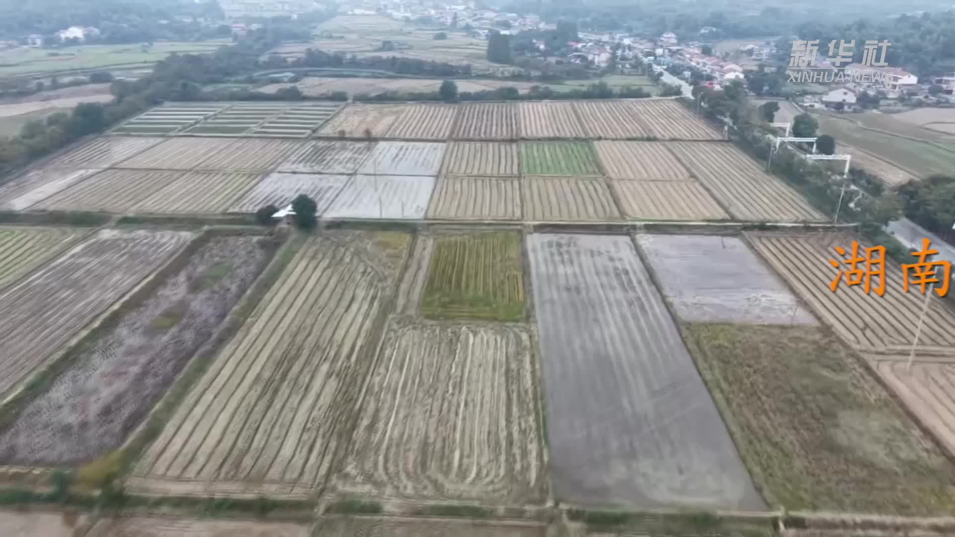 湖南鼎城：推动秸秆综合利用