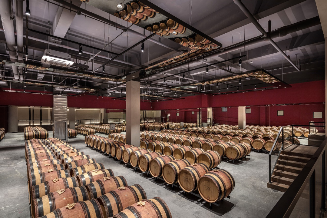 一株藤 三代人 百年约：一个香港家庭与烟台葡萄酒的山海之约