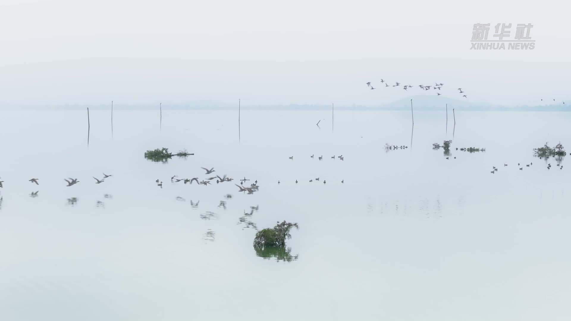 滇池南岸：湖面如镜 湿地生韵