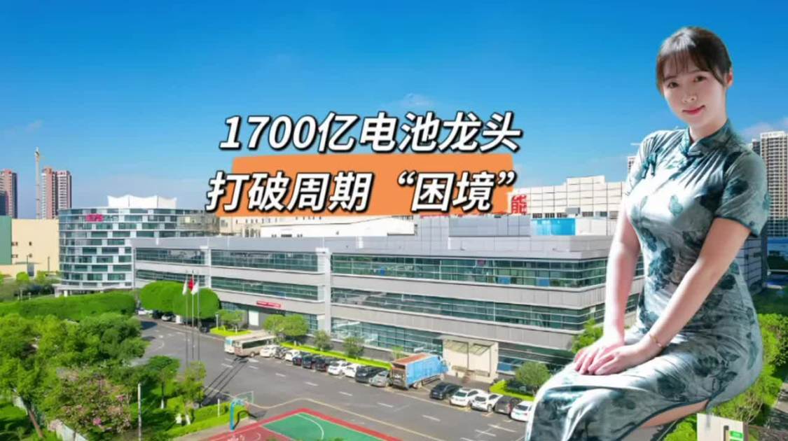 1700亿电池龙头，打破周期“困境”