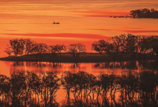 摄影作品:向海晨曲 王福春 摄