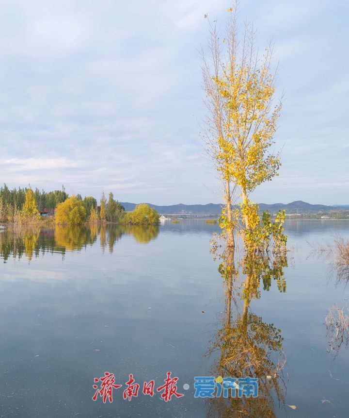 初冬大冶水库景美如画 水墨画卷入眼来