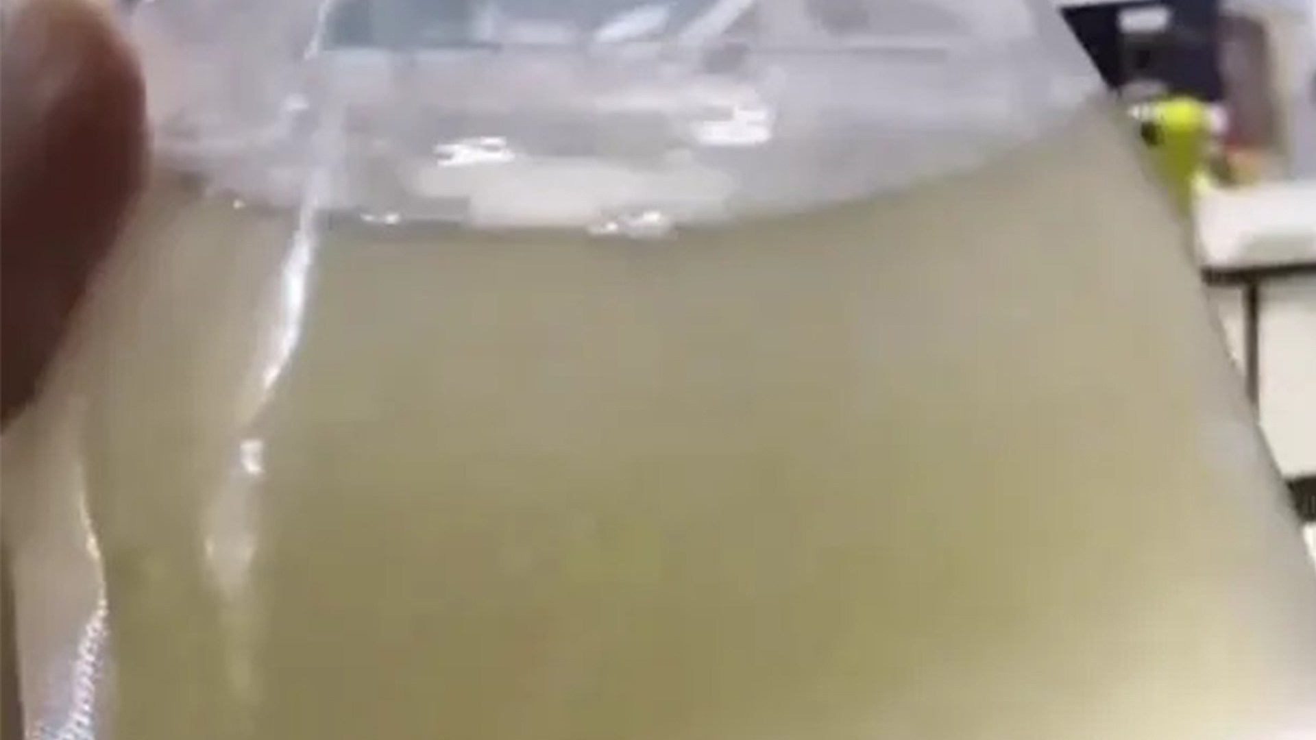 东北一男子网购50条观赏鱼，到货只有一袋水，商家：怕鱼被冻死，放了加热包，鱼从广东发货，路太远烫熟分解了