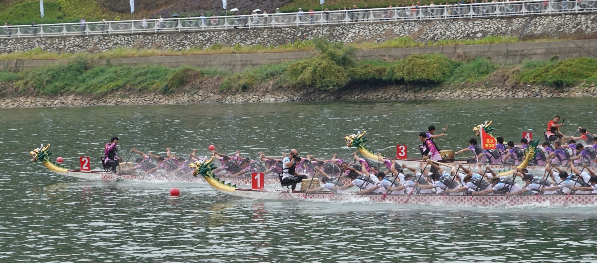 再传捷报！顺德乐从罗浮宫龙舟队斩获2025年中国龙舟公开赛总决赛总冠军