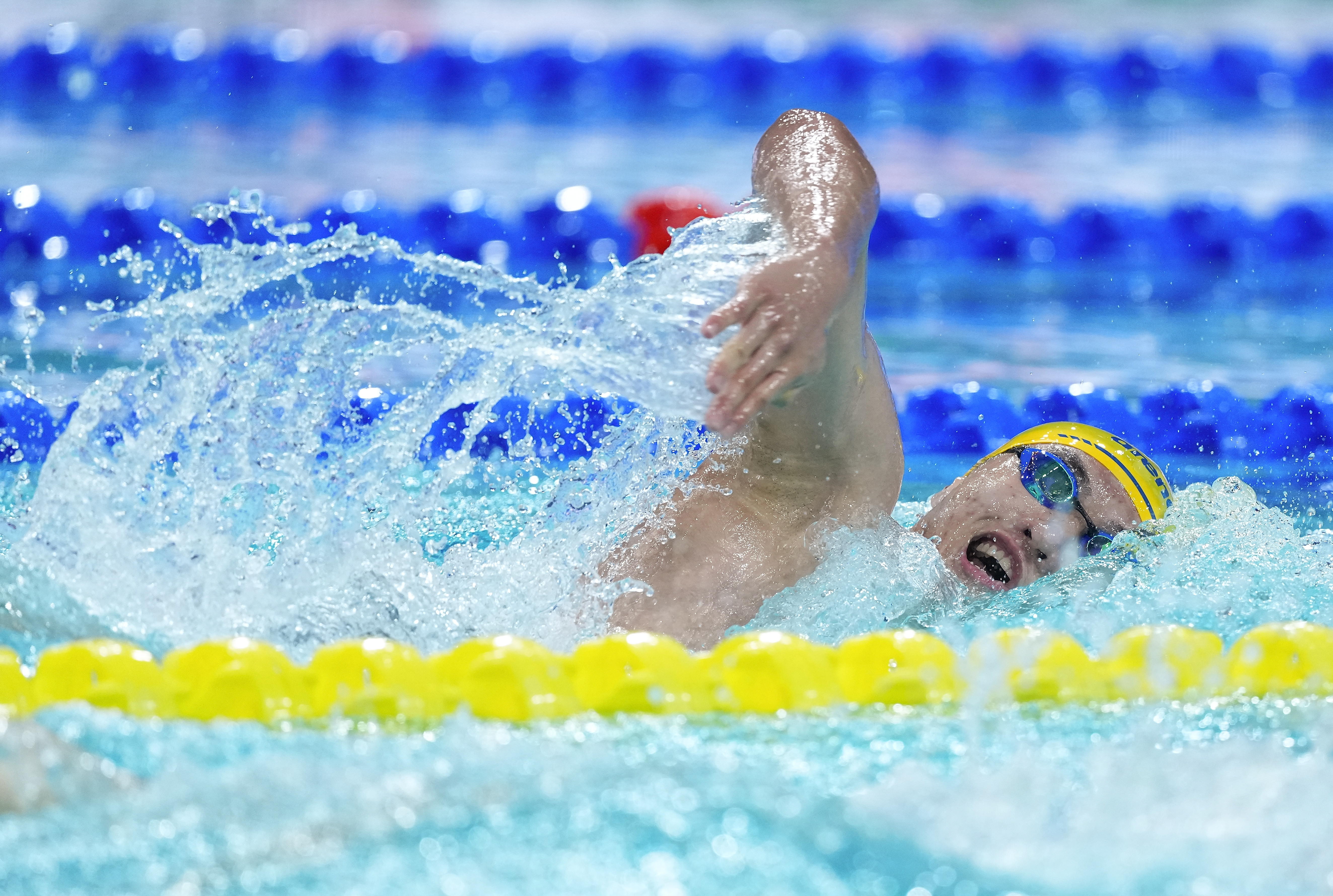 三刷纪录！深圳龙岗游泳赛场继续上演“神仙对决”