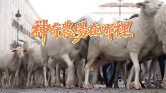 神奇农场在哪里