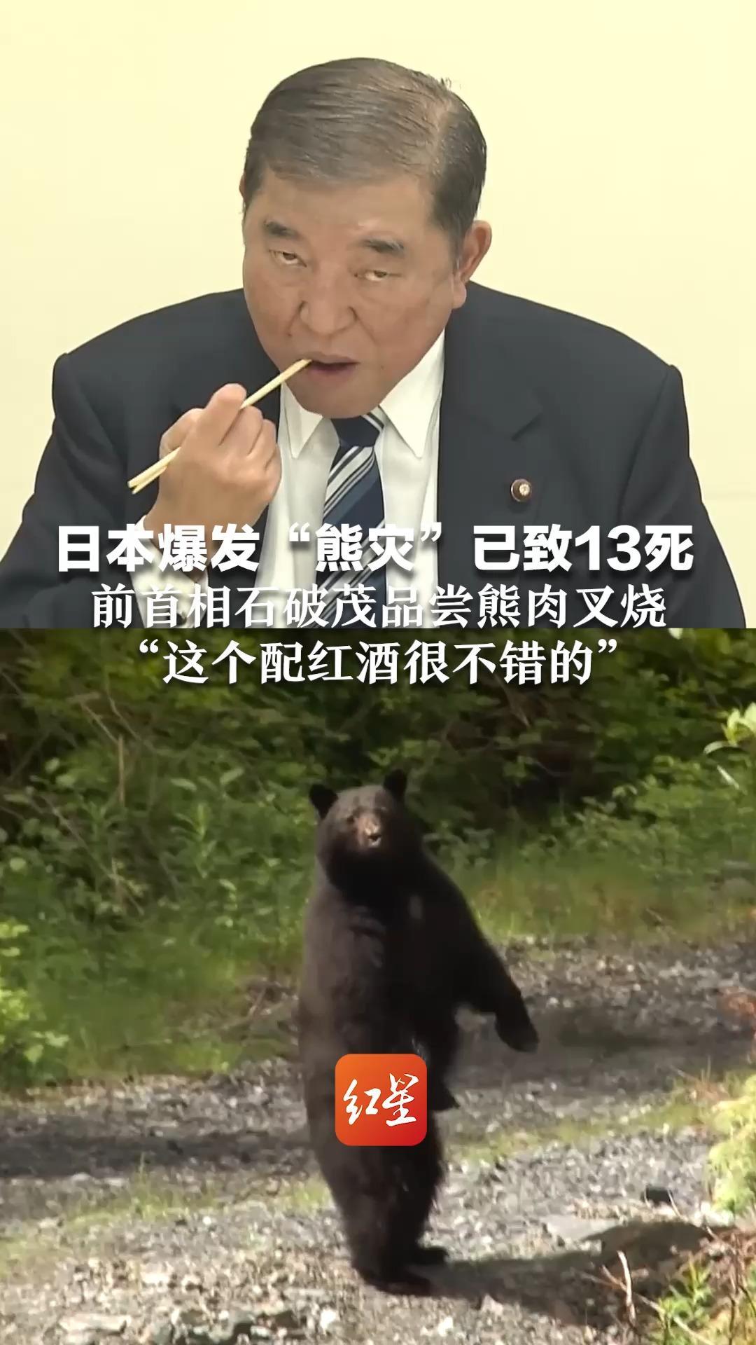 日本爆发“熊灾”已致13死  允许警方持枪杀熊   前首相石破茂品尝熊肉叉烧：这个配红酒很不错的