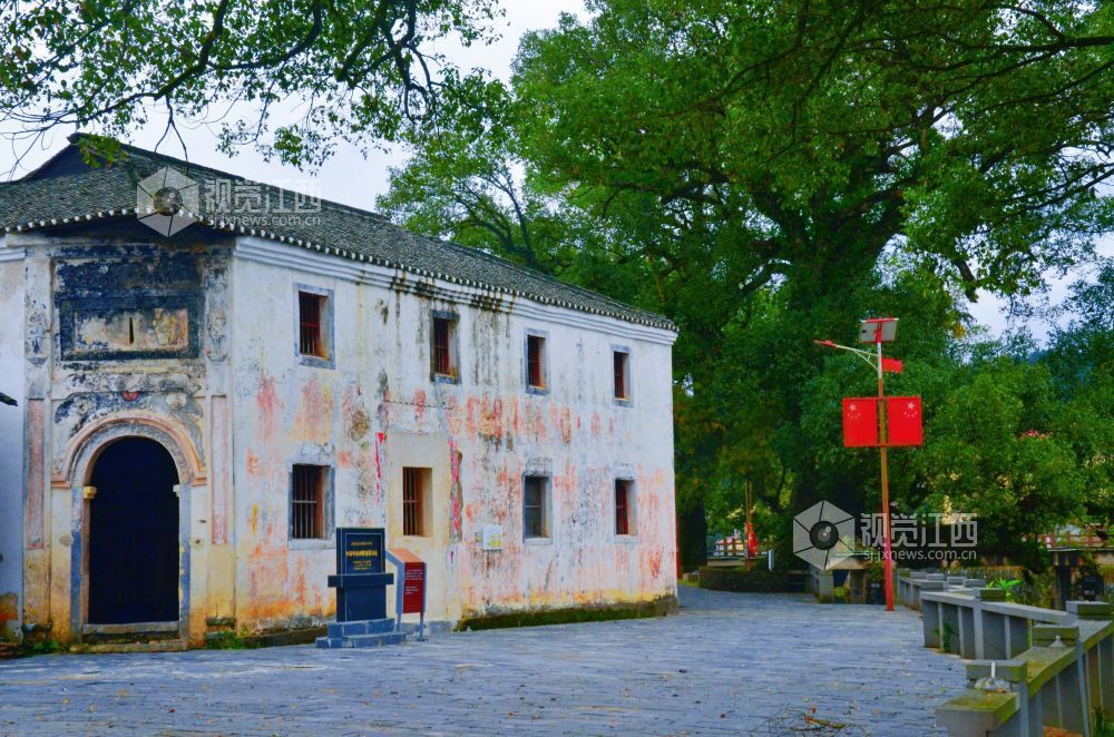 初冬的永新县坳南乡牛田村,六七河畔古樟参天,虬枝盘曲,与碧水相映,静谧而厚重。