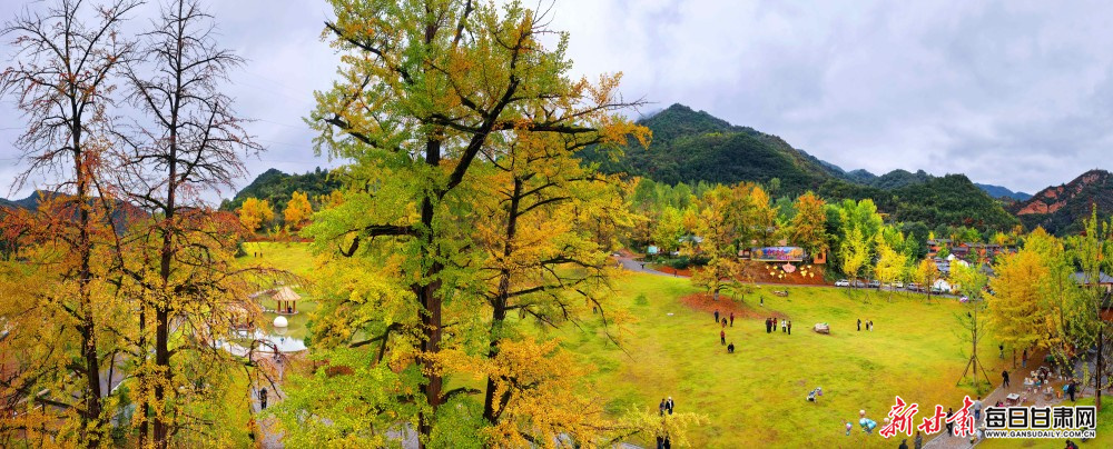 徽县嘉陵镇田河村千年古银杏群 重庆市渝中区摄影家协会主席 詹江 摄