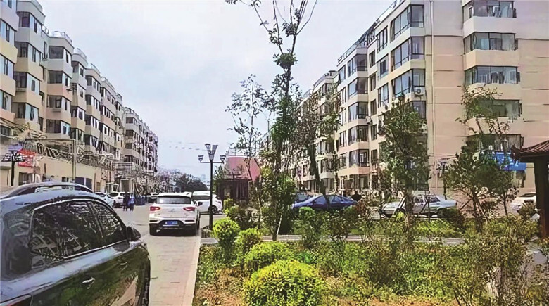 改造后的文化康城小区。