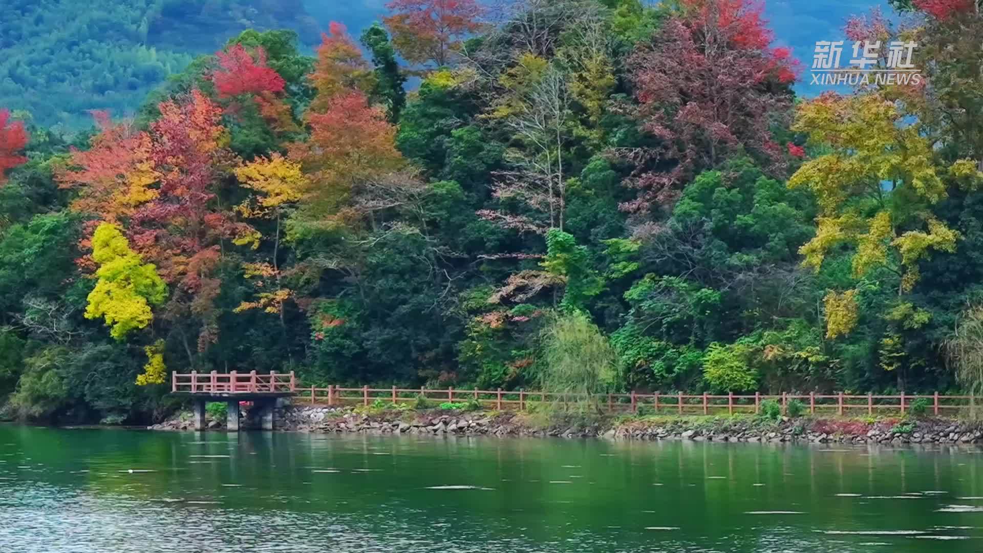 安徽池州：彩林映云雾 村落入画来