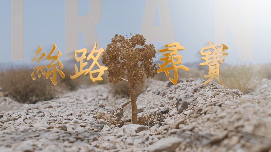 四海中医第五集《丝路寻宝》11月15日播出丨伊朗篇