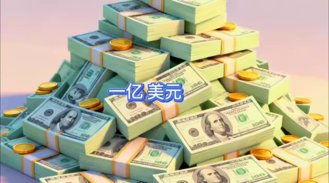 一亿美元的案子