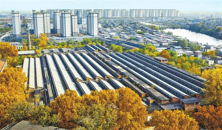 11月9日，卫辉华新纱厂秋意正浓。该厂始建于1920年，位于卫河旁，借大运河通往天津出海，现在成为工业遗址。 李英杰 摄