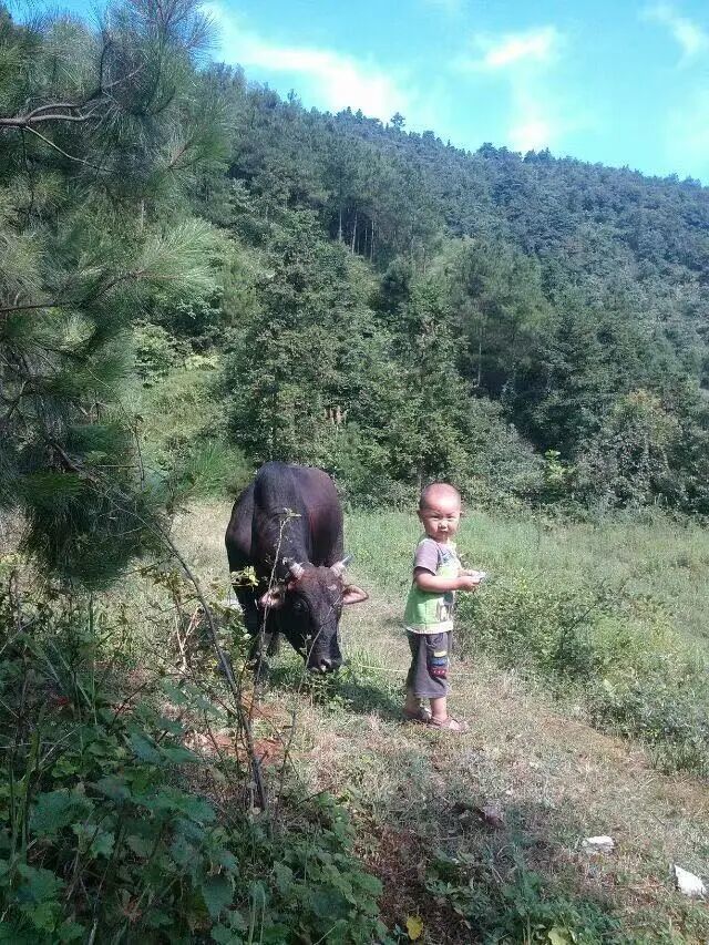 △龙睿熙童年照