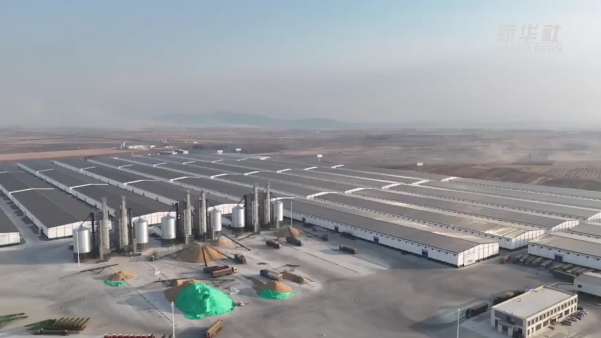 飞阅百万吨级粮库看“中国饭碗”底气