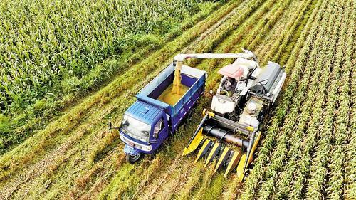 现代化农业绘出农民好“丰”景。 武安市委宣传部供图