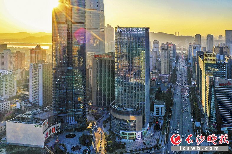 五一大道两厢高楼林立、车水马龙。资料图片