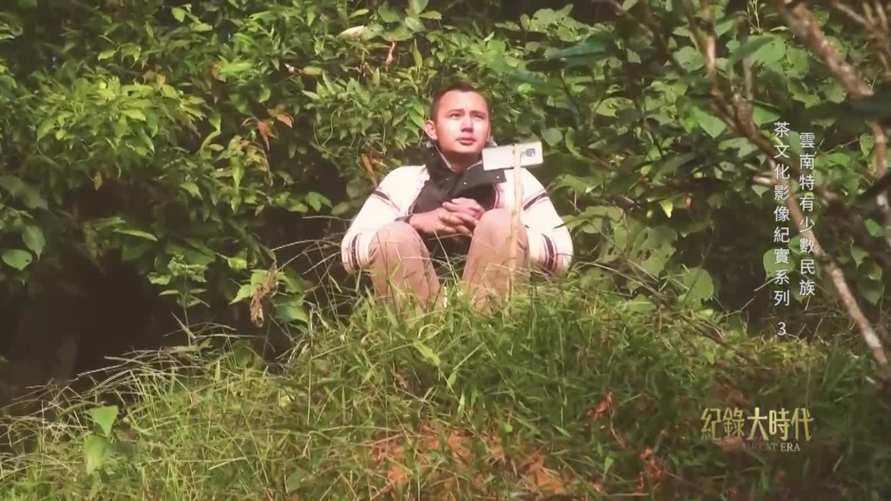 古茶山上的年轻人：通过互联网向外界分享美景，教长辈更科学的采茶手法