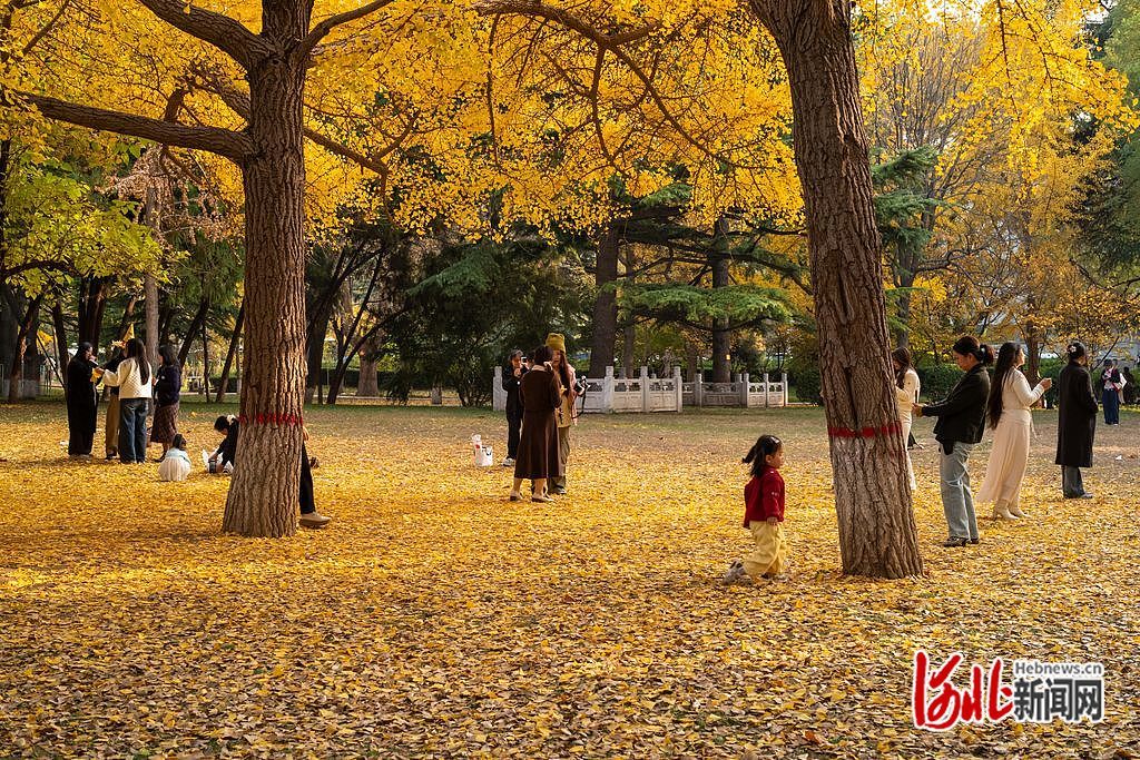 11月11日，石家庄长安公园，市民在观赏美景拍照留念。