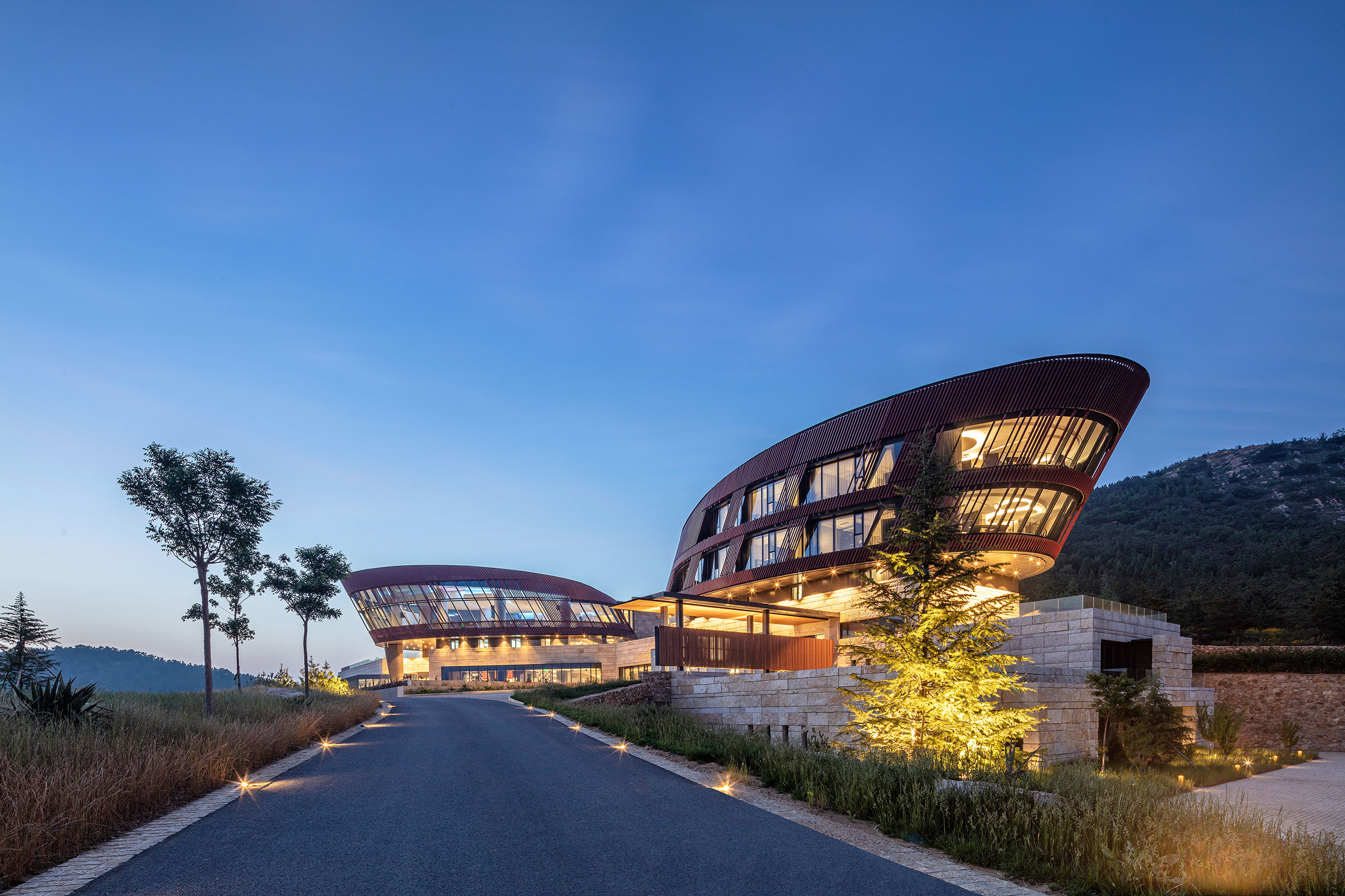 一株藤 三代人 百年约：一个香港家庭与烟台葡萄酒的山海之约