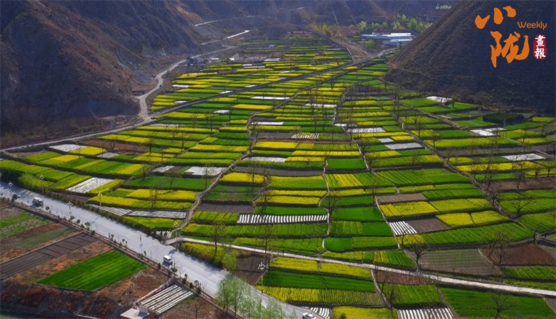 NBA升级版纪念礼惊艳进博会 看甘肃有啥不“遗”样