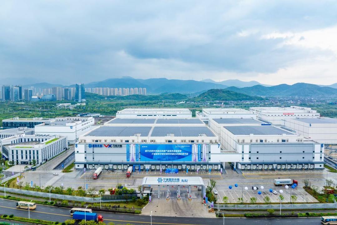 一周年交卷！宁波片区大宗商品资源配置枢纽建设再起新篇