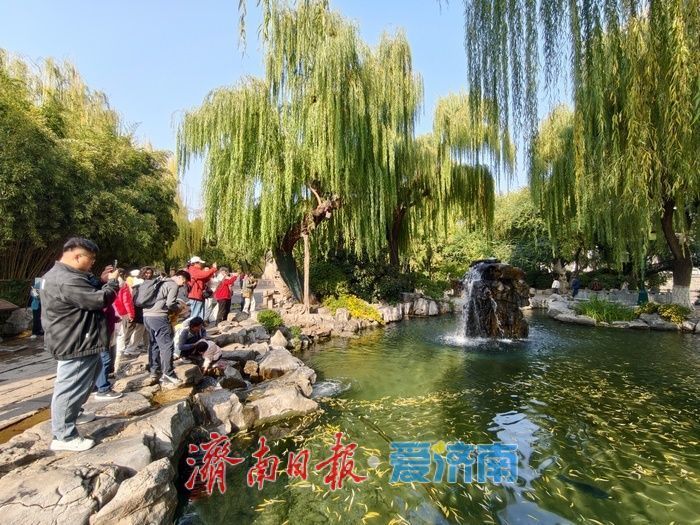 一年四季 泉在济南丨清泉汩汩映晴空，“月牙飞瀑”醉初冬