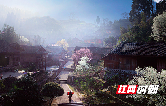 老司城遗址街巷。