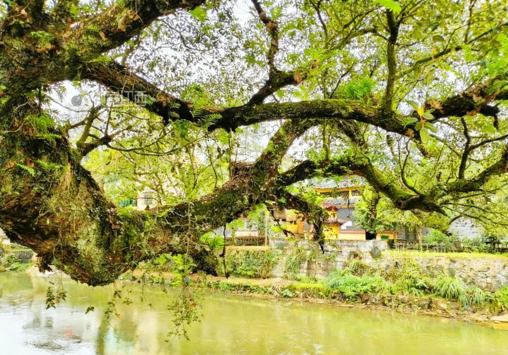 11月9日，江西省吉安市永新县坳南乡牛田村自然风光。