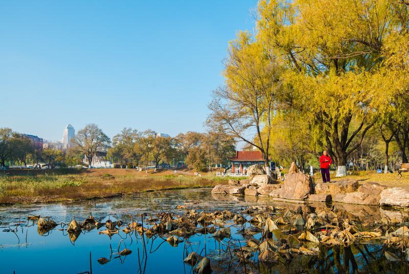 长春伊通河，冬意悄临，秋色未央