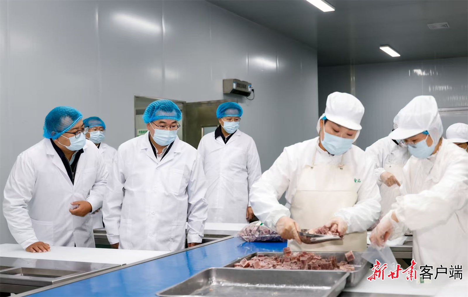 11月12日,省委书记、省人大常委会主任胡昌升在临洮县调研。新甘肃·甘肃日报记者 孟捷