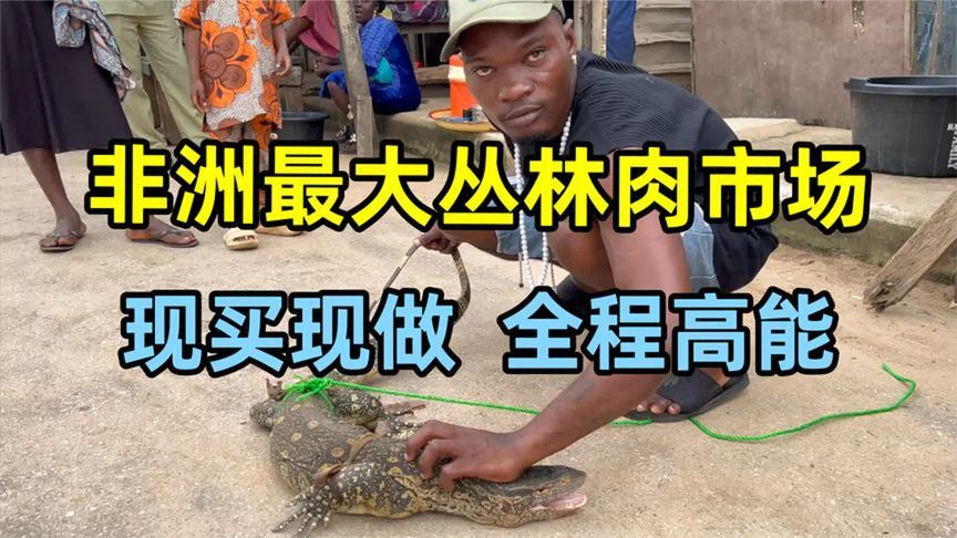 探访非洲最大丛林肉市场，尼日利亚人太猛了，这东西居然都敢吃？