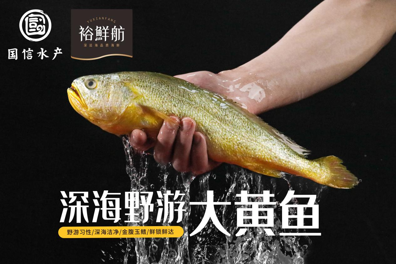 以权威IP赋能高端水产品牌升级 国信水产×凤凰网金梧桐战略合作签约仪式圆满举行
