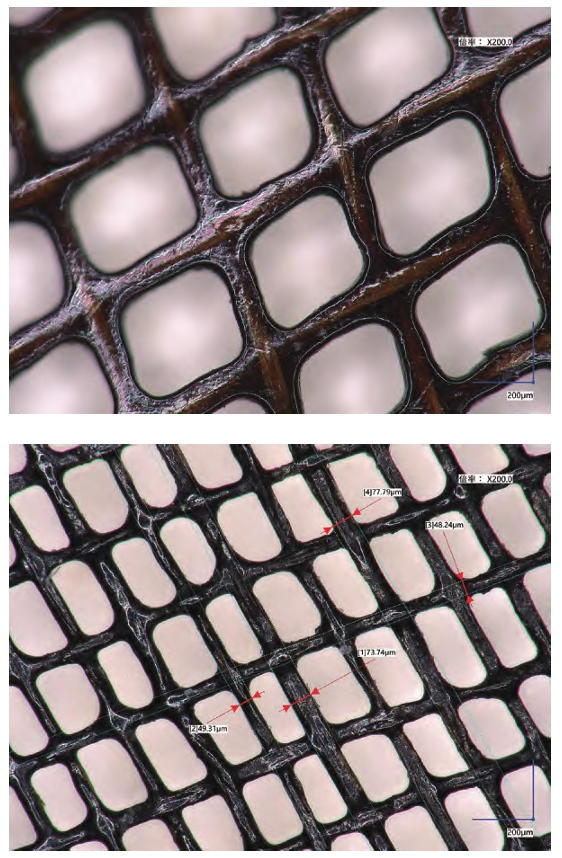 海昏侯出土漆纱残片显微结构