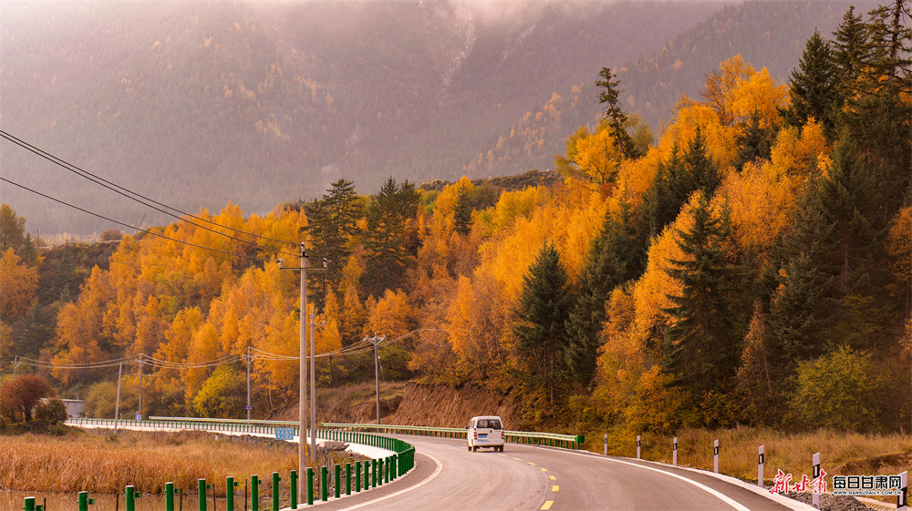五彩山林似油画 洮河冬韵绘诗篇