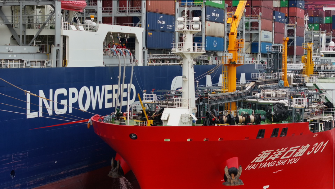 一周年交卷！宁波片区大宗商品资源配置枢纽建设再起新篇