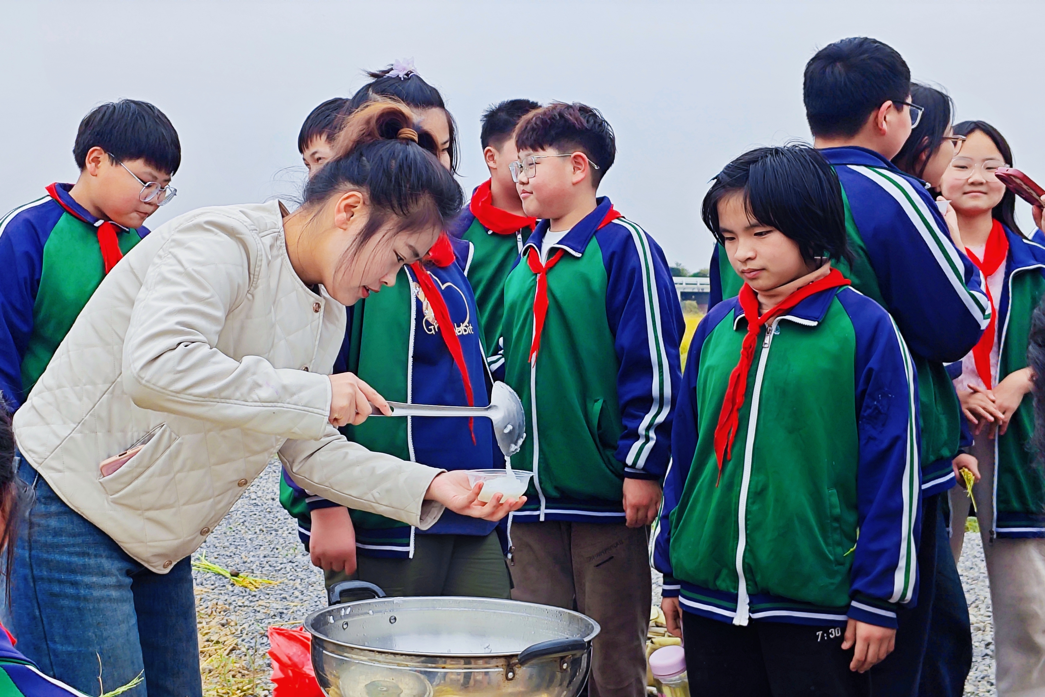 农耕实践 遇“稻”成长！丰县倾力打造劳动教育课堂