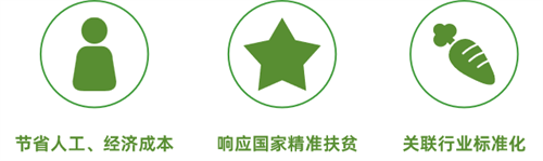 点击查看原始图片